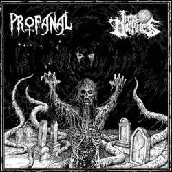 Profanal : 3C 273 - Close the Coffin
